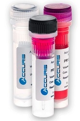 Taq DNA polymerase for PCR from Accuris. Available at Pipette.com.